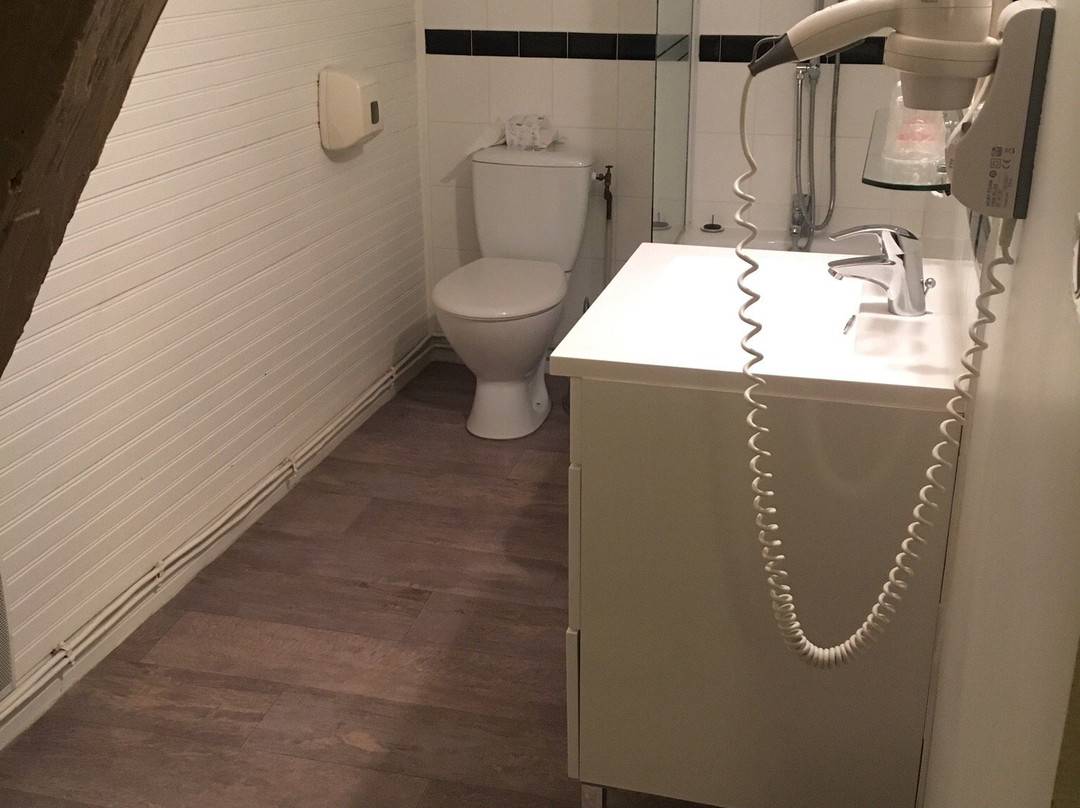 Logis Hôtel Louise de Savoie主图