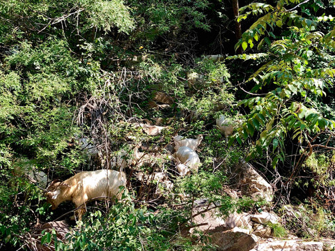 密云龙云山-北京市必去景点