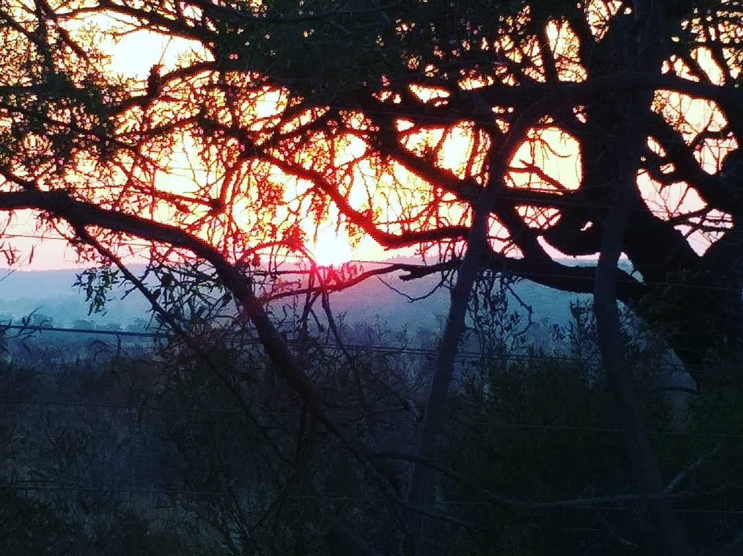 Olive Tree Farm主图