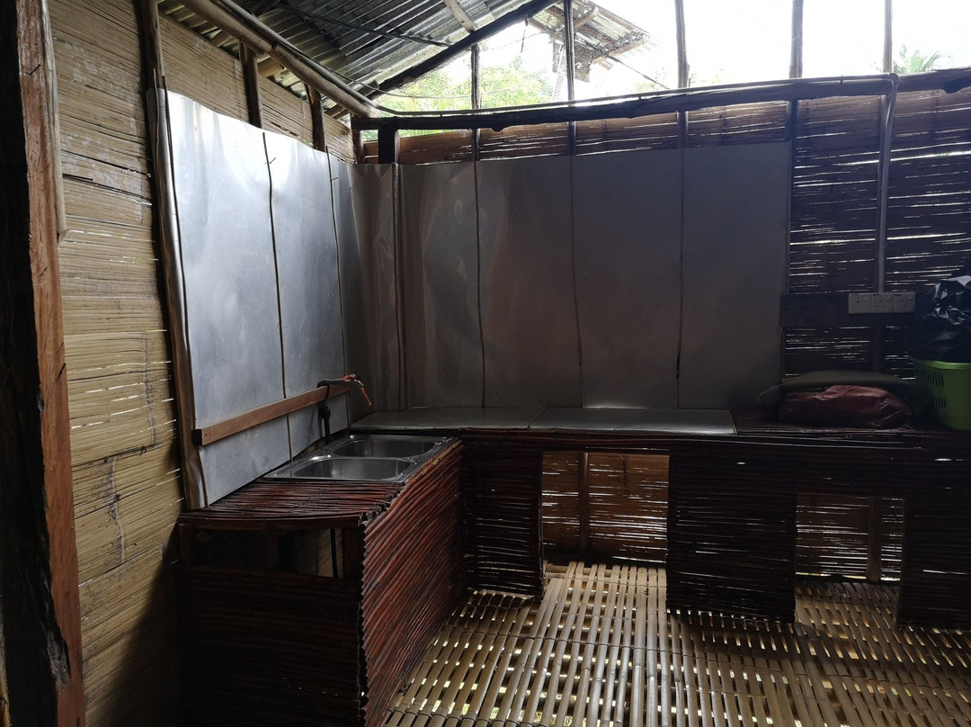 Rain Forest Inn主图