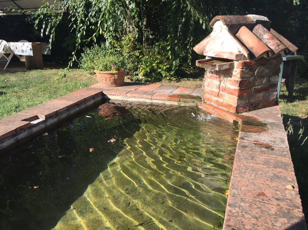 Agriturismo Piccola Raieda主图