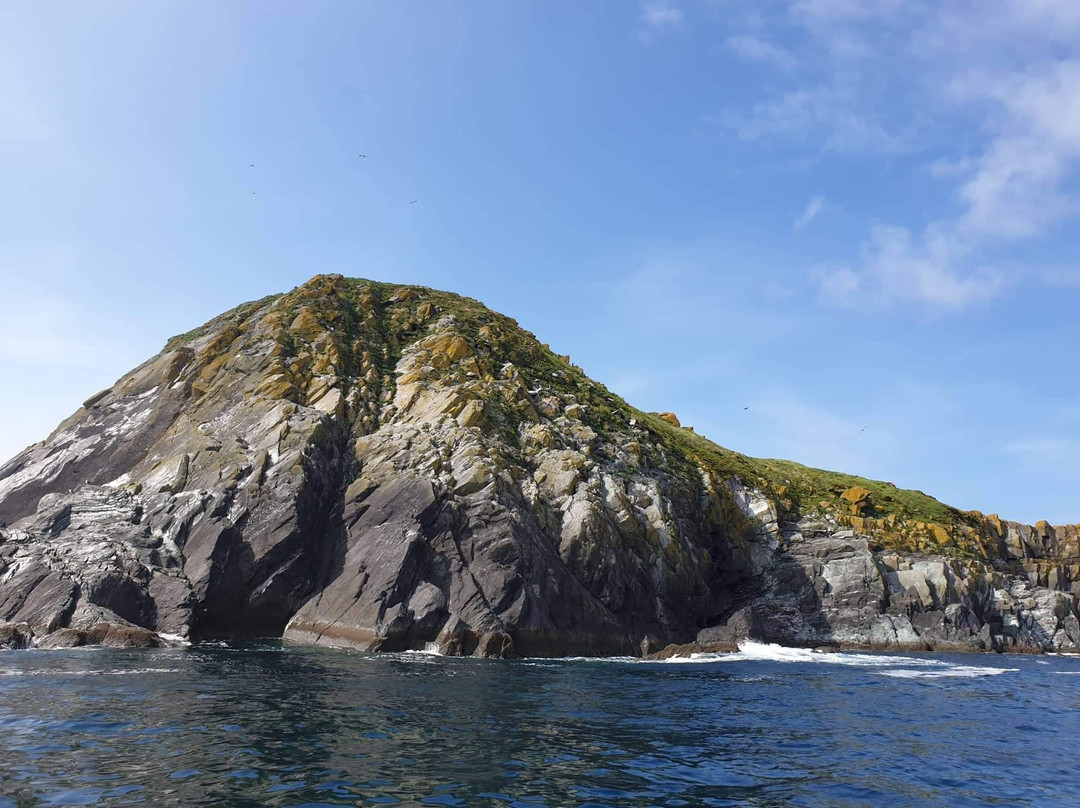 Dingle Sea Safari景点图片