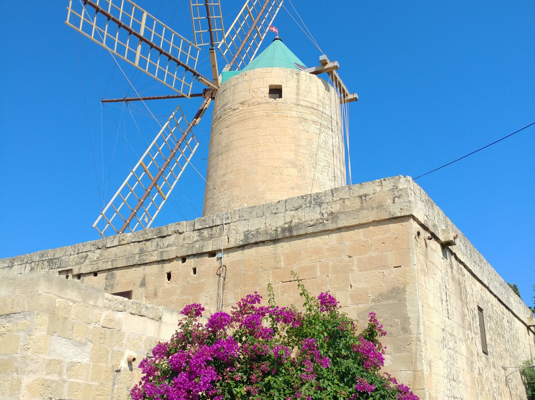 Ta' Kola Windmill景点图片