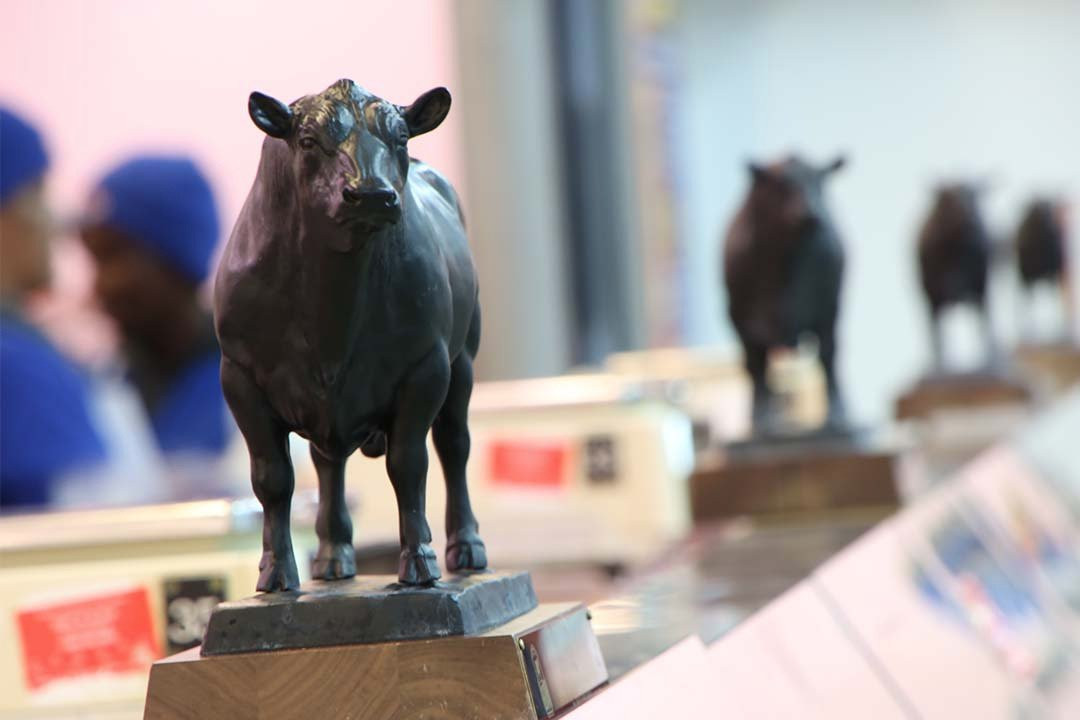 Your Dekalb Farmers Market-迪凯特必去景点