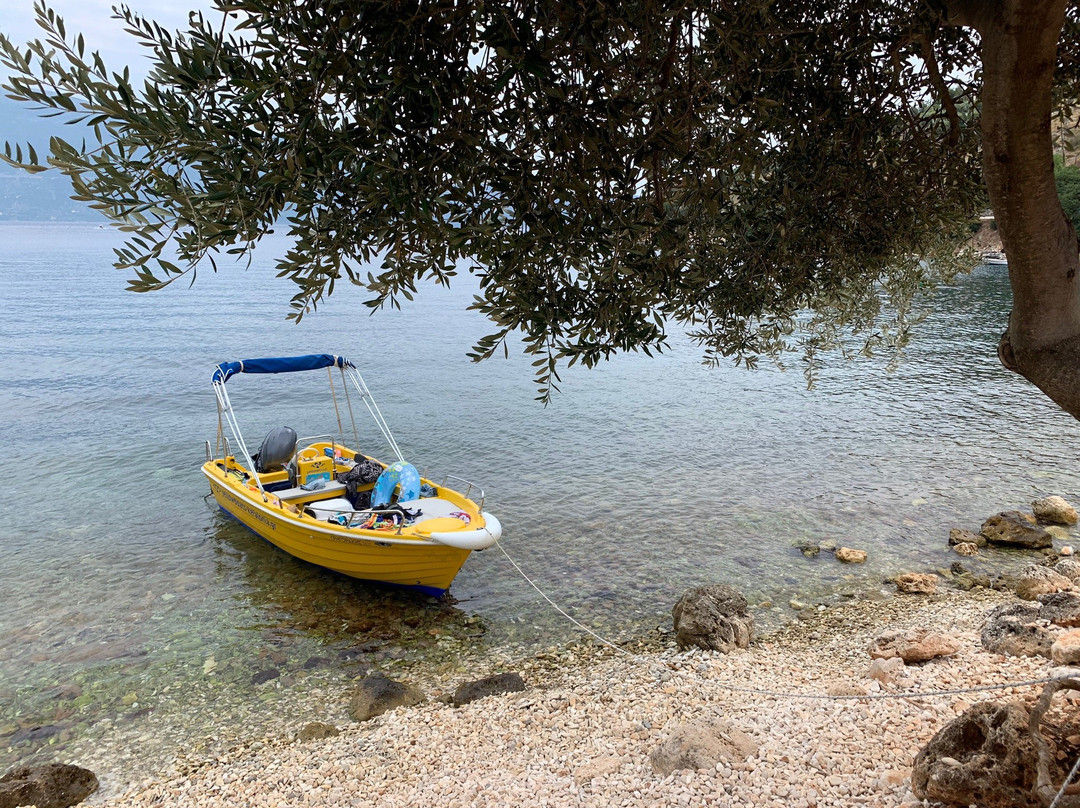 Yellow Boats Kefalonia景点图片