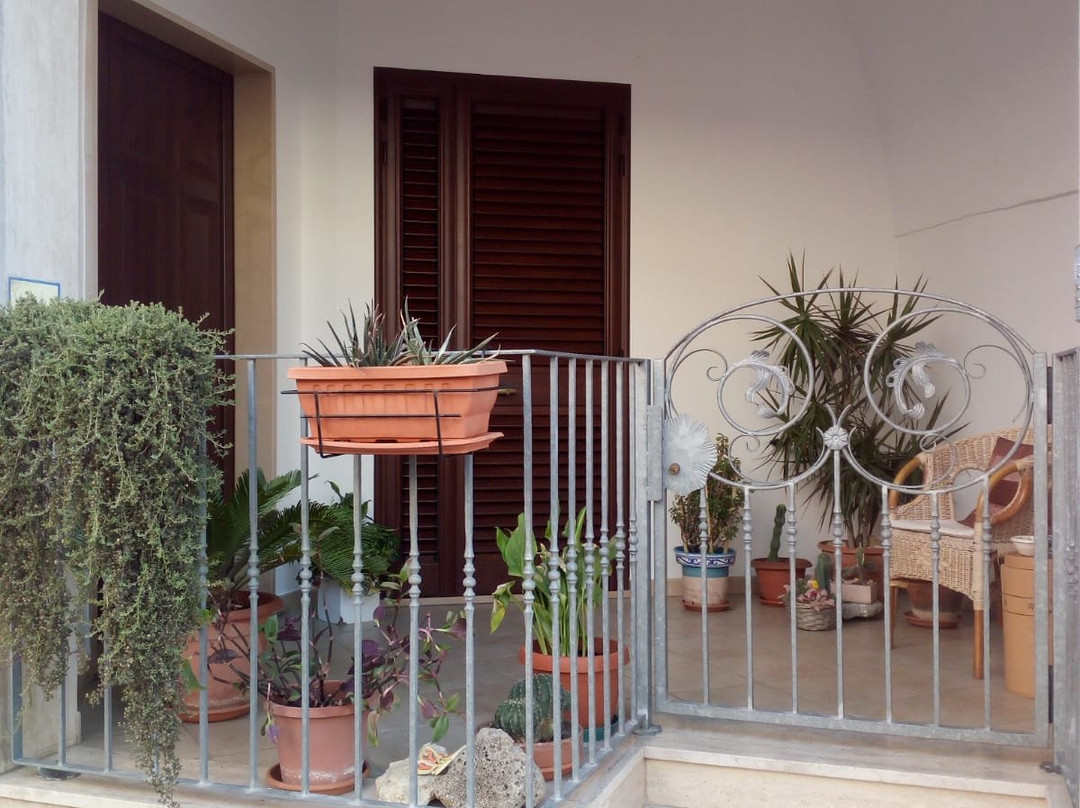 B&B Palazzo Mosca主图