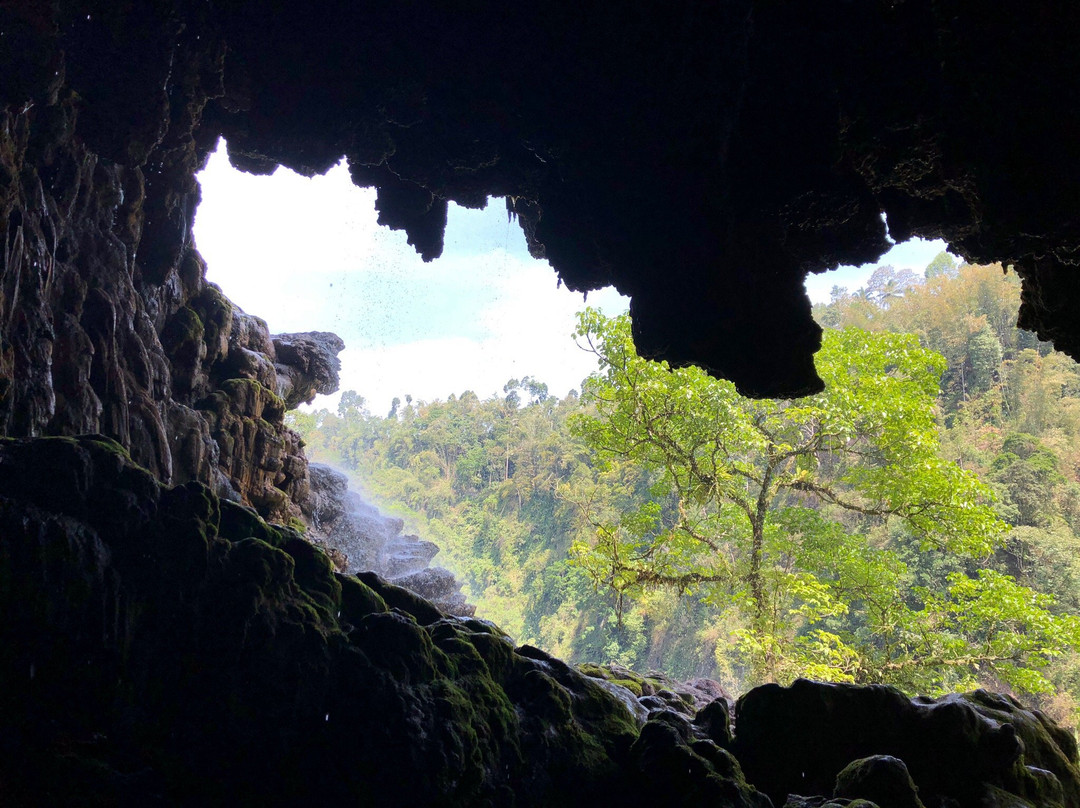 Tetes Cave-Lumajang必去景点