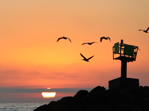 Pacific Marine Charters-欧申赛德必去景点