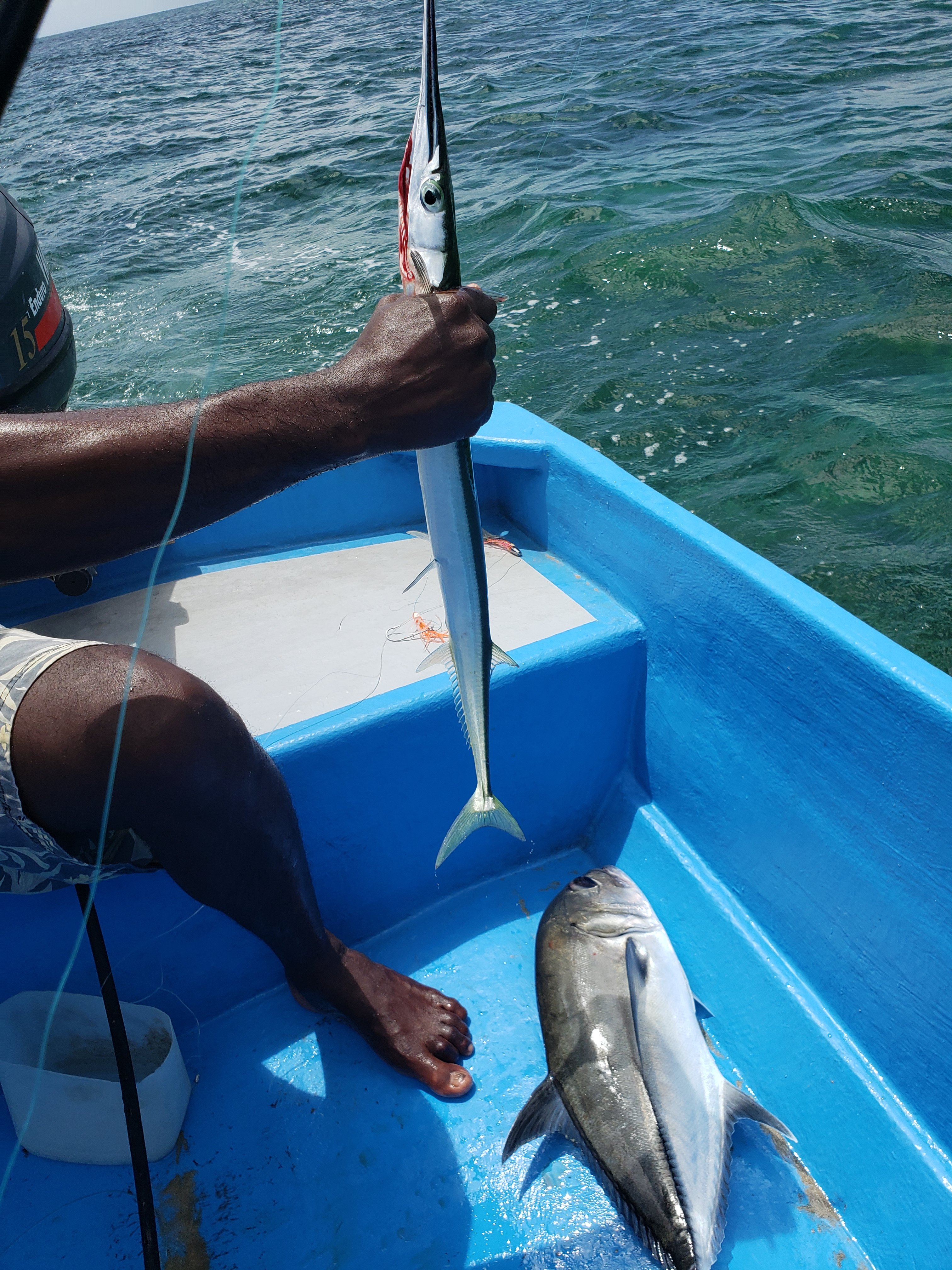 Fish Tobago Guesthouse-portrait