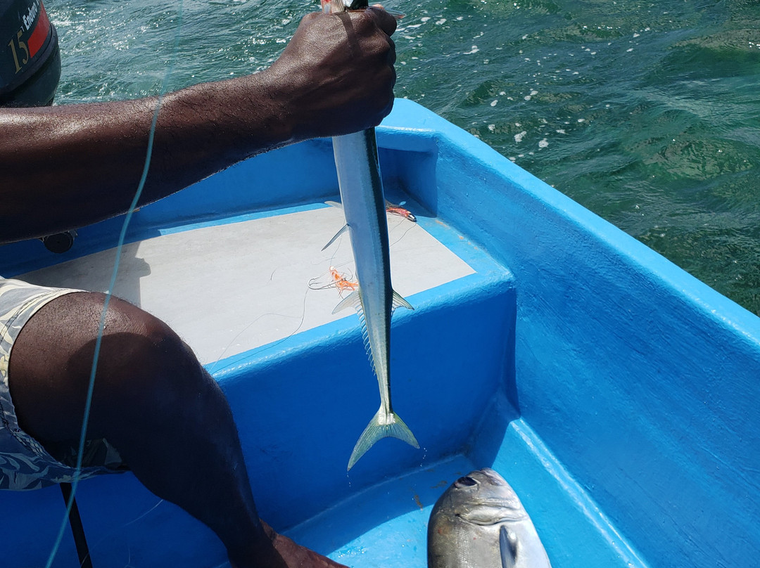 Fish Tobago Guesthouse主图