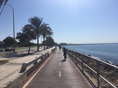 Port Bike Mallorca-马洛卡帕尔马必去景点