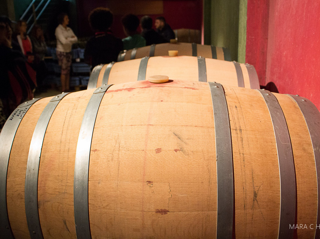 Fabian-Nova Padua必去景点