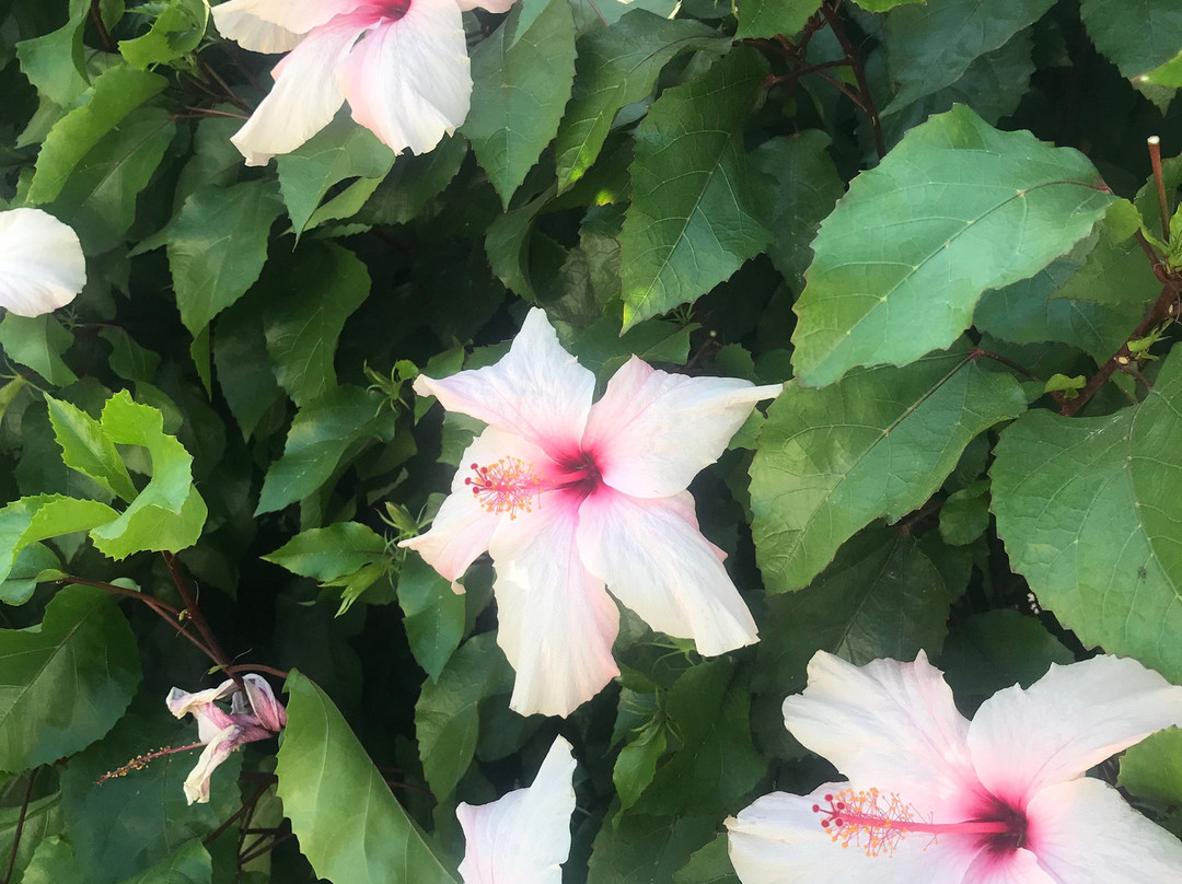 Hotel Isola di Mozia主图