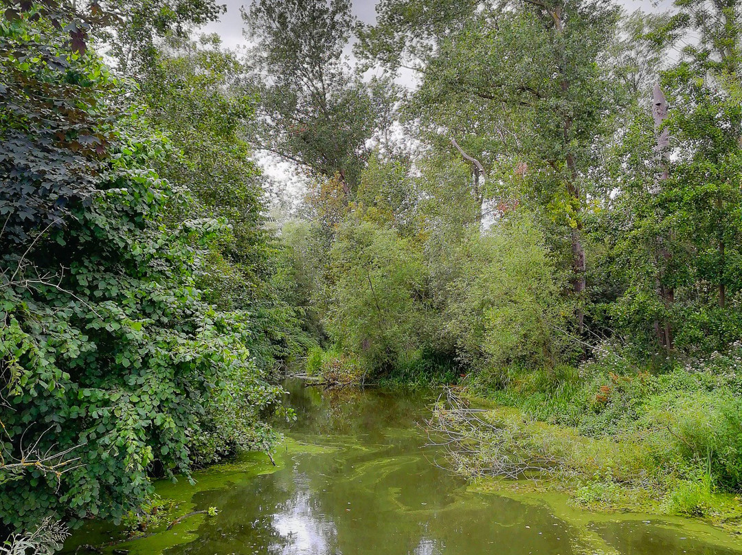 Bourgoyen-Ossemeersen Nature Reserve景点图片