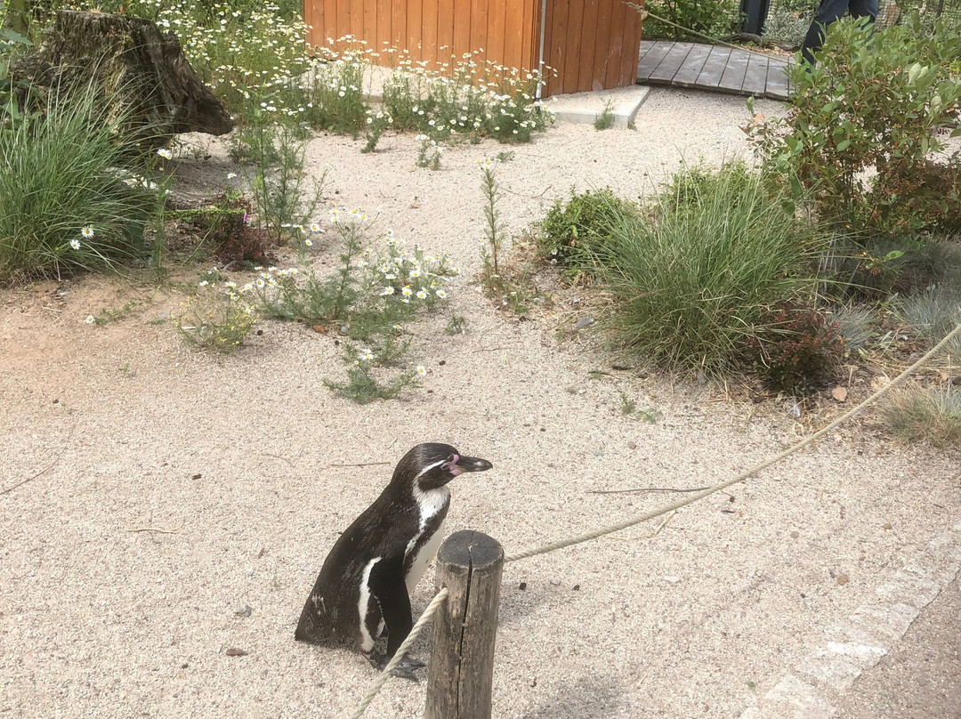 Amerika Tierpark景点图片