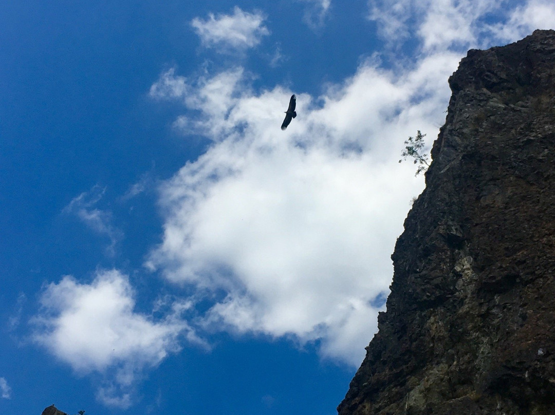 Kushta Za Gosti Dolinata Na Vulchitsata - Khotel Madzharovo主图