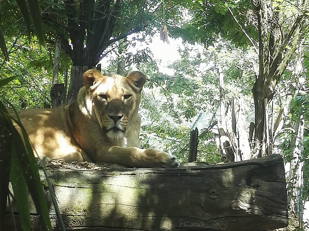 Giardino Zoologico Di Pistoia景点图片