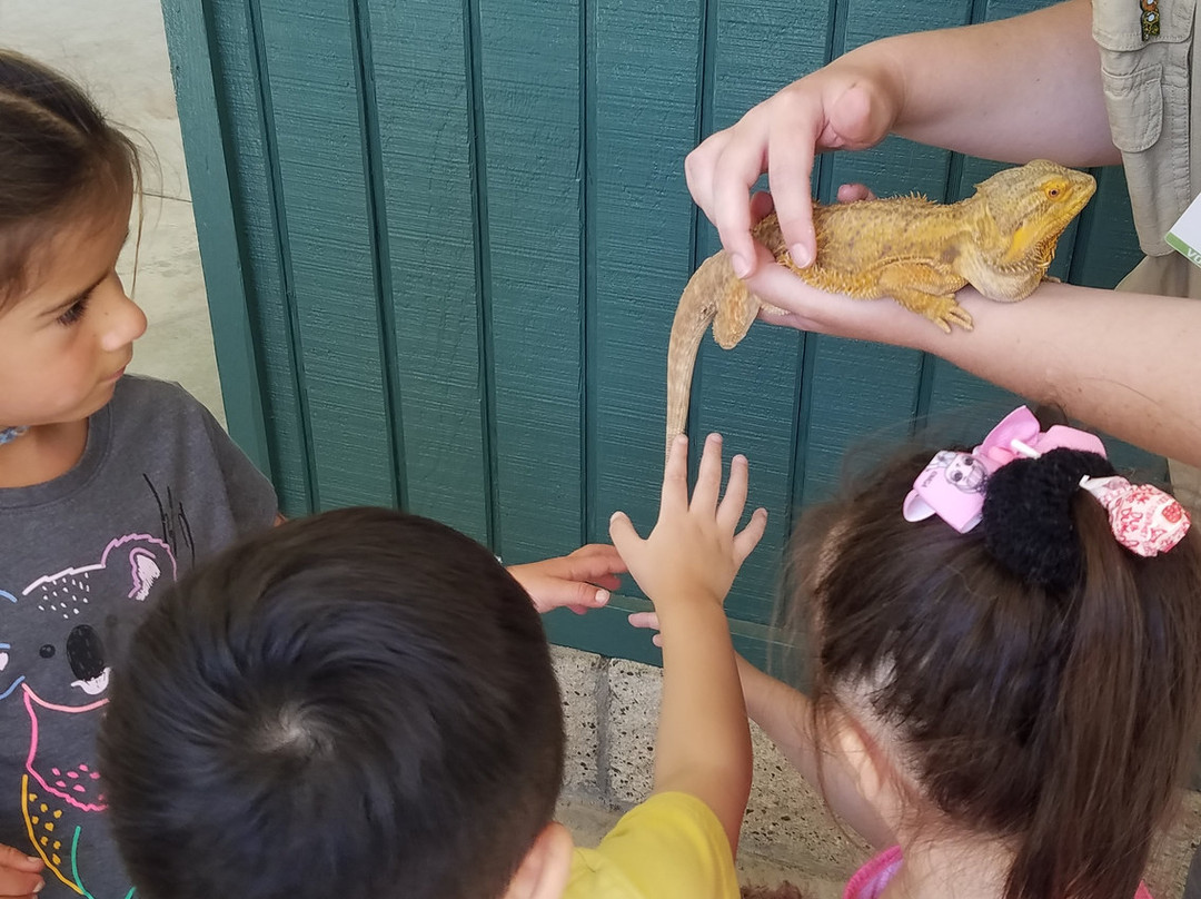 Orange County Zoo-橘子郡必去景点