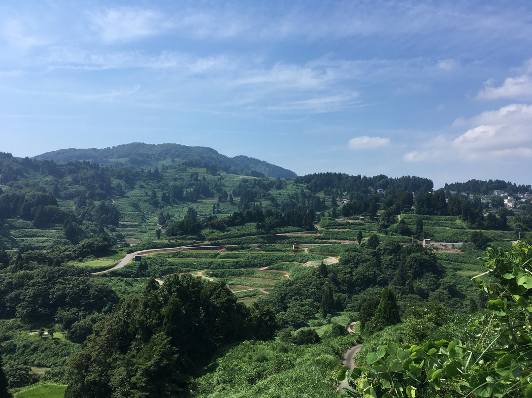 Yamakoshi Alpaca Farm-长冈市必去景点