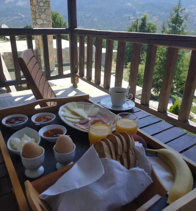 Efharis Filoksenon主图