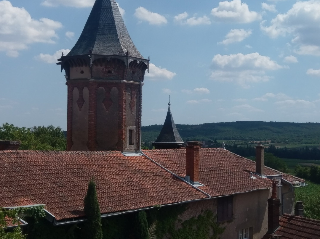 Château de Chamirey景点图片