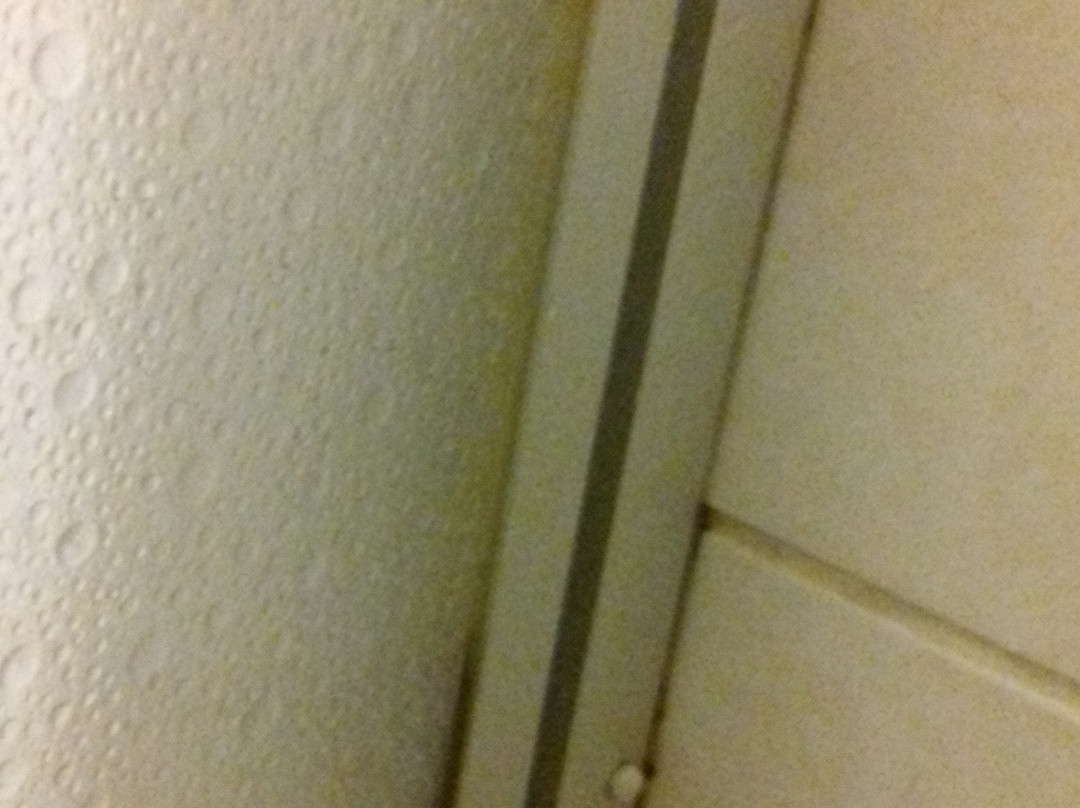 Hotel Soelchebaeck主图