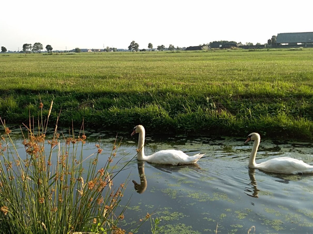 Camping de Landhoeve Lekkerland Lekdij主图