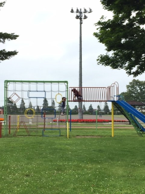 Sarabetsu Noson Park-更别村必去景点