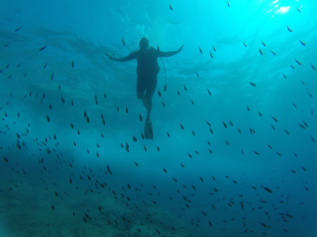 Diving Center Ankora景点图片