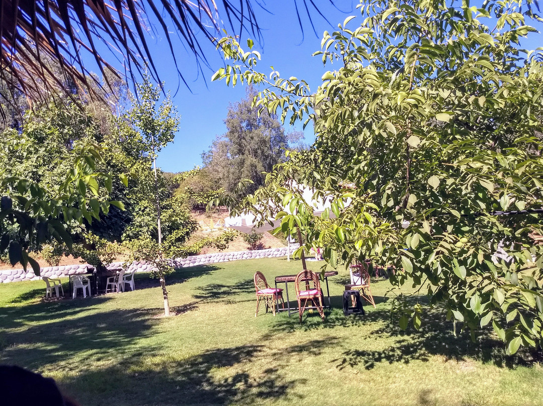 Parque Nacional Las Palmas de Cocalan