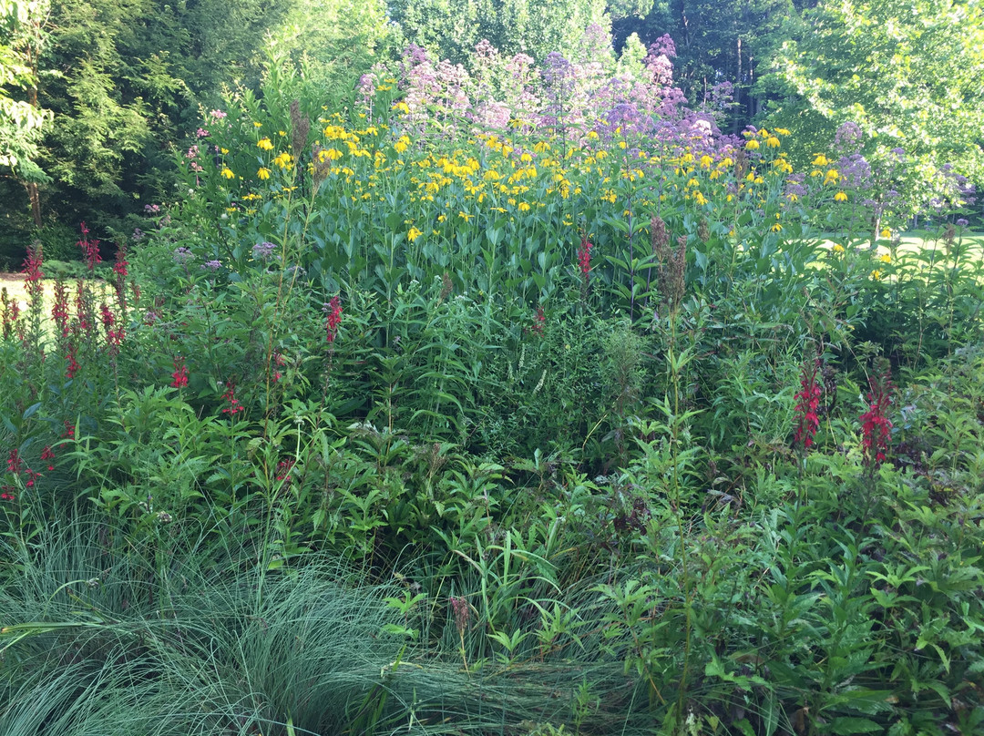 West Virginia Botanic Garden景点图片