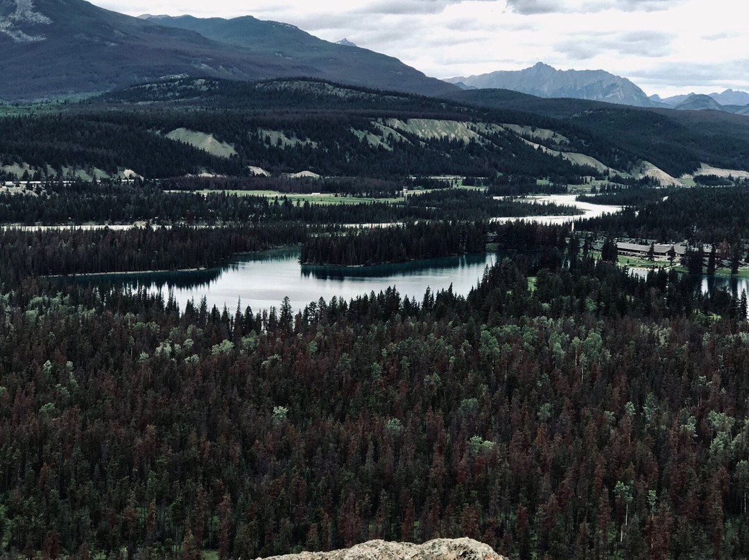 Old Fort Point Trail-贾斯珀必去景点