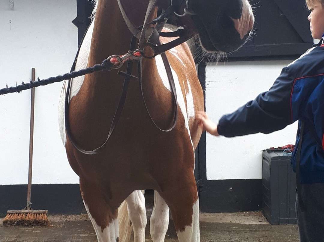 Moycullen Riding Centre-Moycullen必去景点