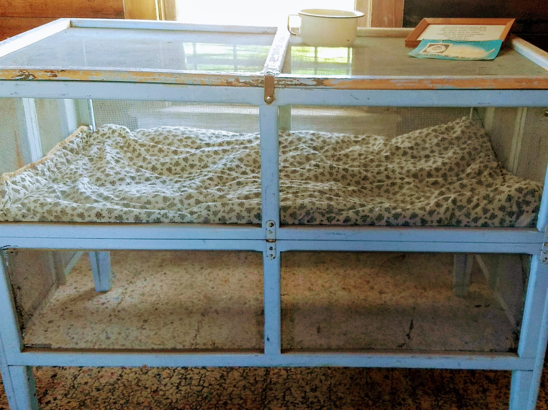 Saint's Roost Museum-Clarendon必去景点