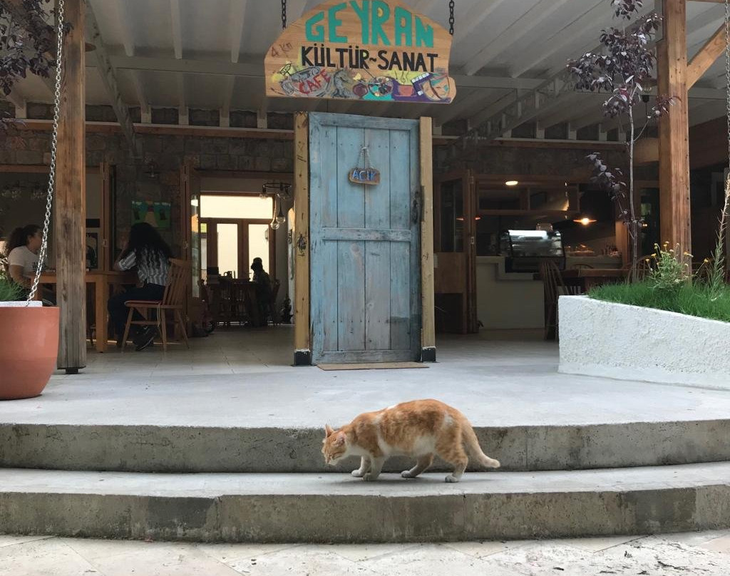 Ugurlu旅游攻略图片