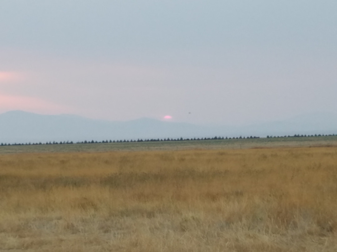 Ackley Lake State Park-Hobson必去景点