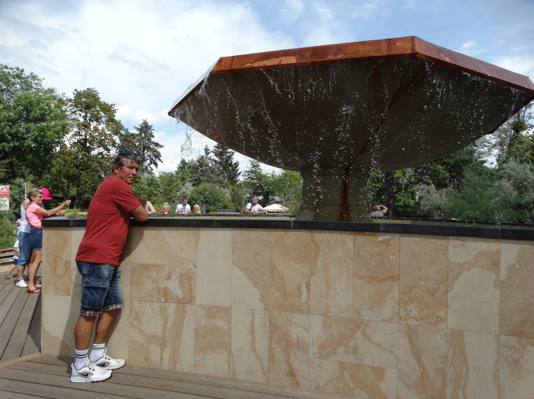 Grzybek Fountain-Ciechocinek必去景点