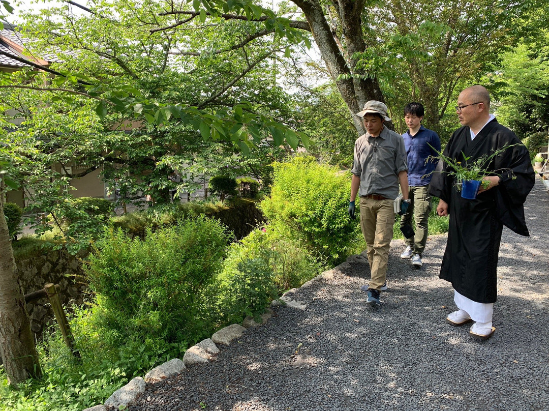 KYOTO NATURE TOURS-京都市必去景点