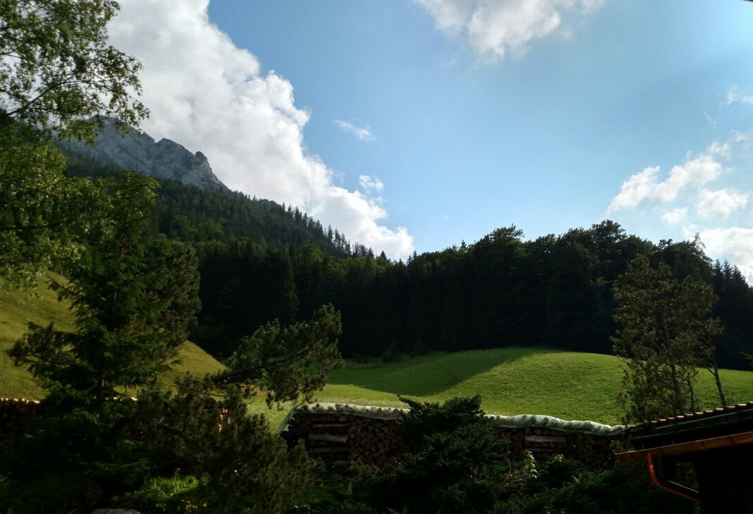 贝斯霍夫阿尔卑斯山酒店主图