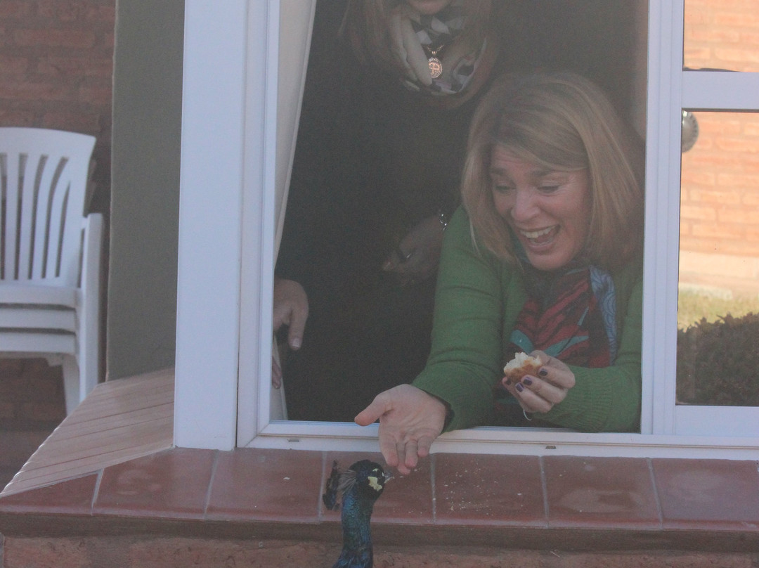 Cabañas Costa verde主图