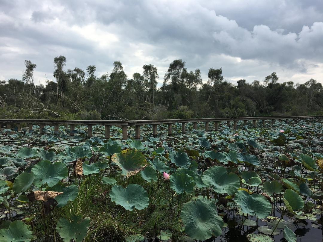 Lang Noi Tan Lap-Long An Province必去景点