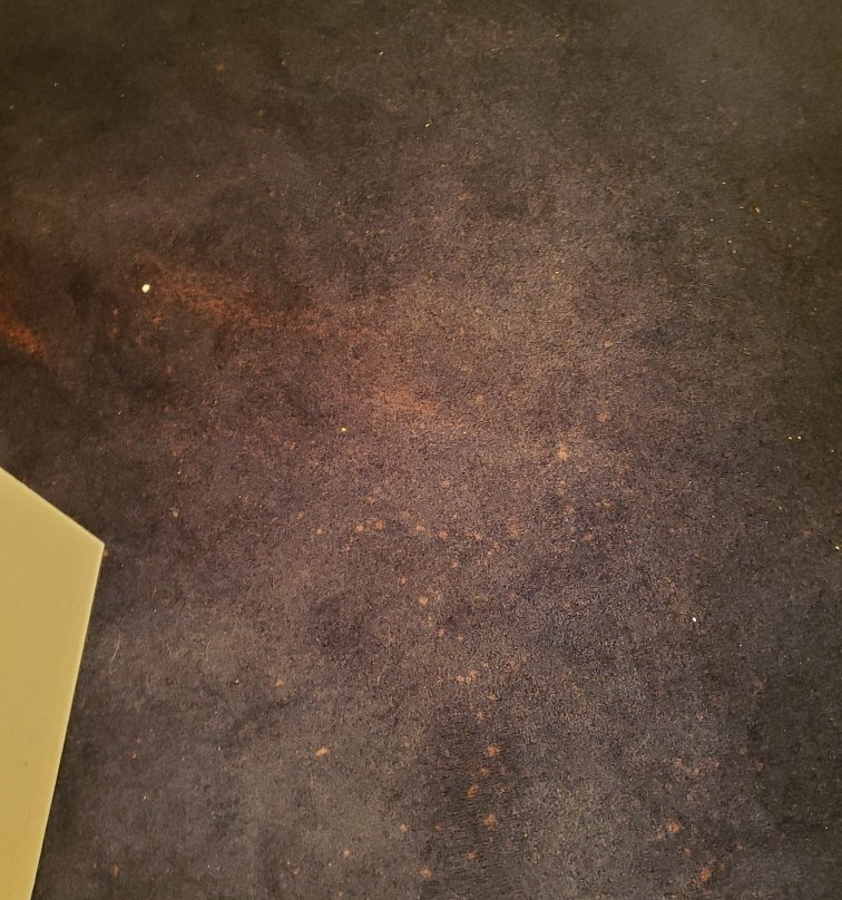 Seahawk Inn & Villas主图