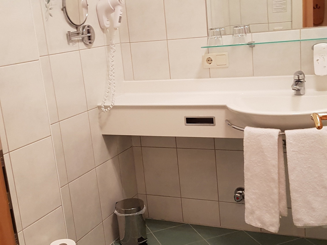 Hotel Rotlechhof主图