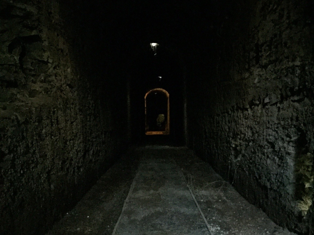 Complesso archeologico Barco Borghese-Monte Porzio Catone必去景点