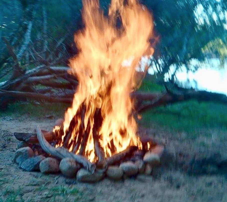 Man and Dog Bush Adventures-道格拉斯港必去景点