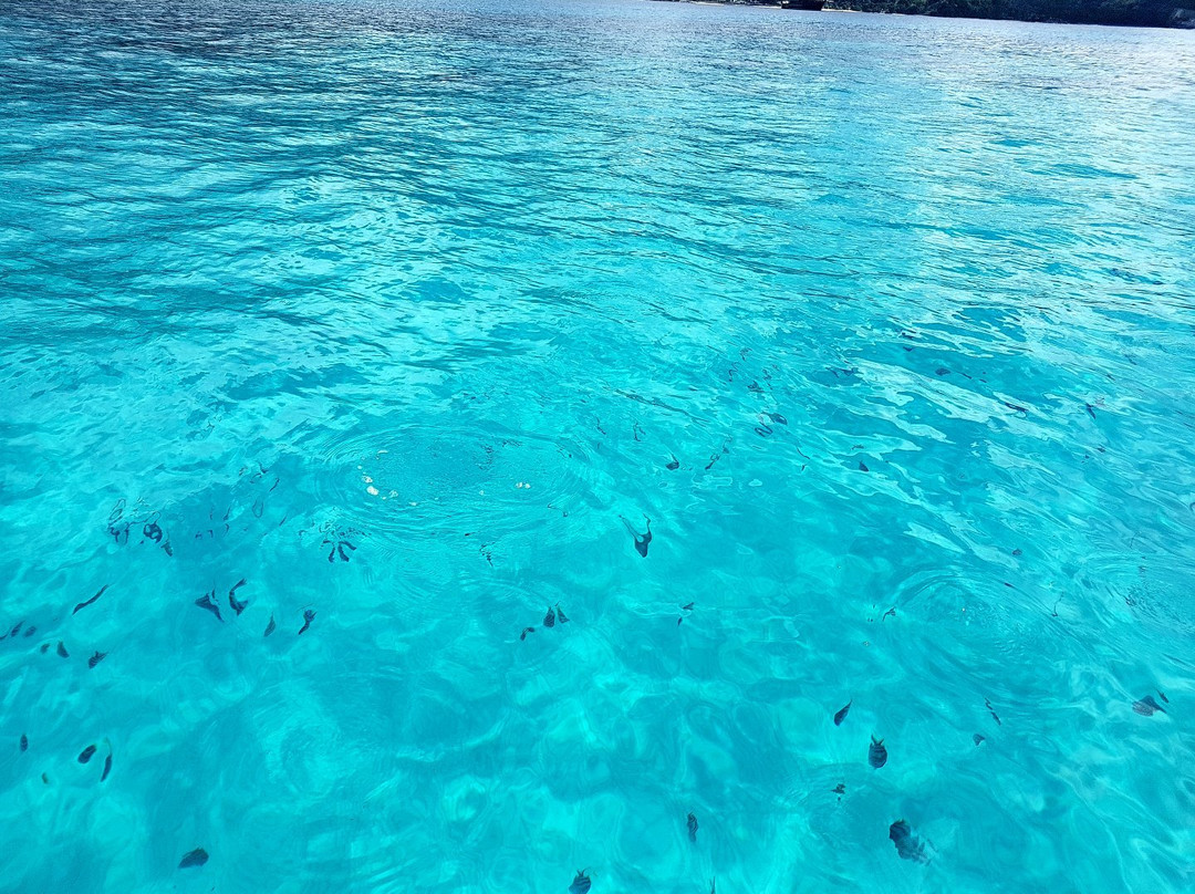 Thérèse Island-Port Glaud必去景点