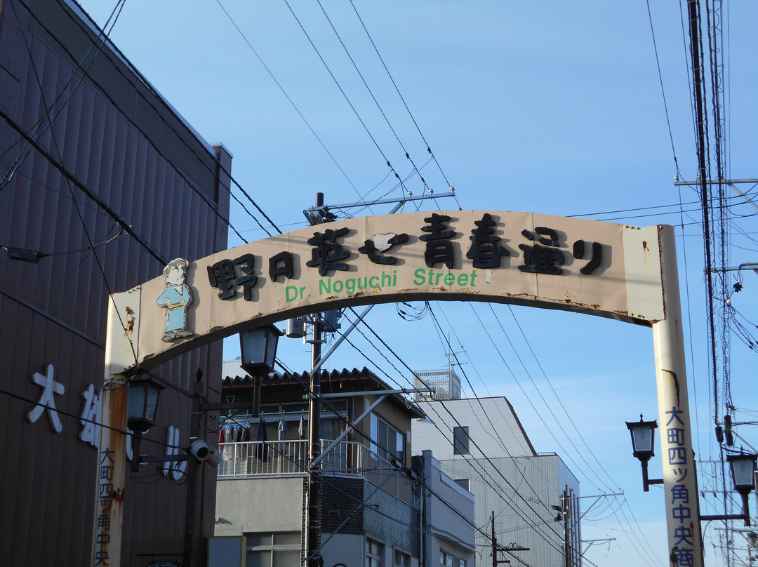 Noguchi Hideyo Seishun Street景点图片