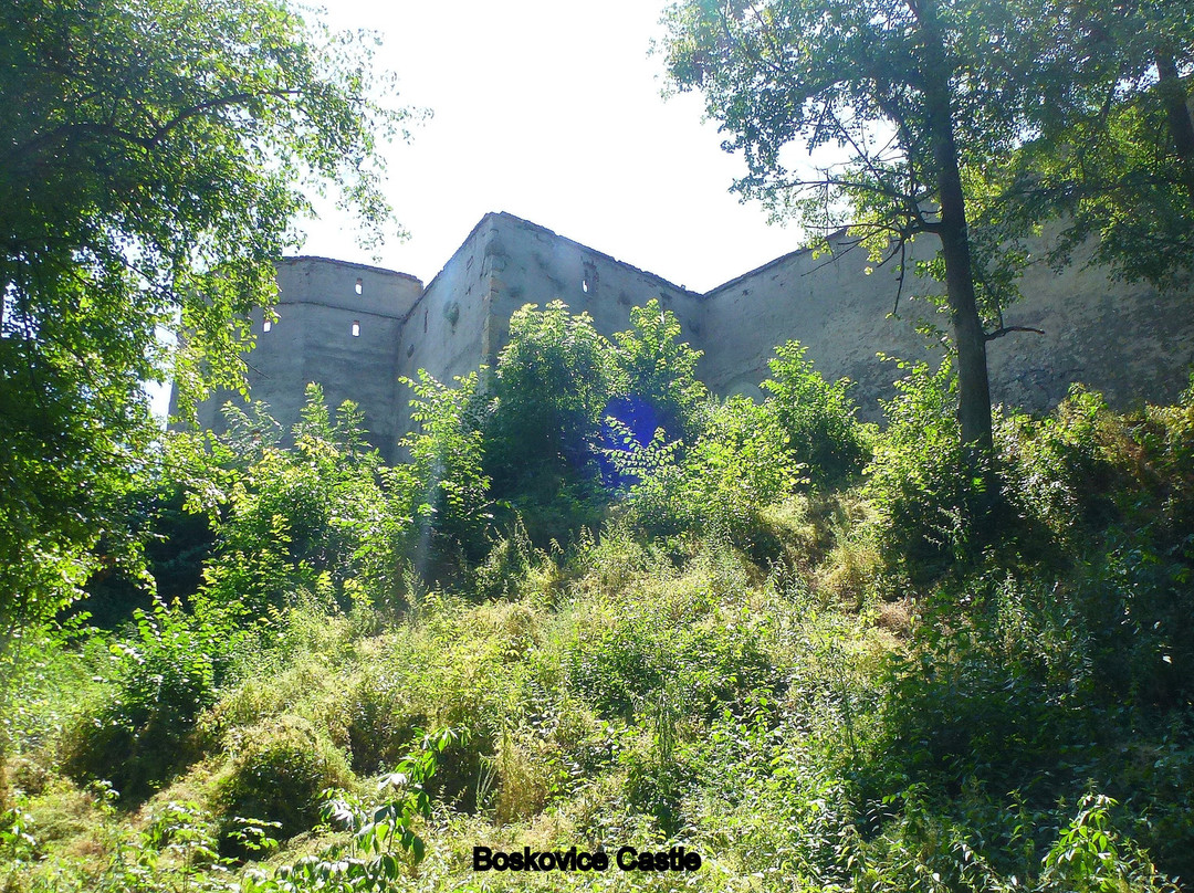 Zricenina Hradu Boskovice-Boskovice必去景点