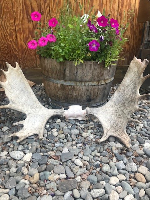 Talkeetna Villas and Tours-浴室