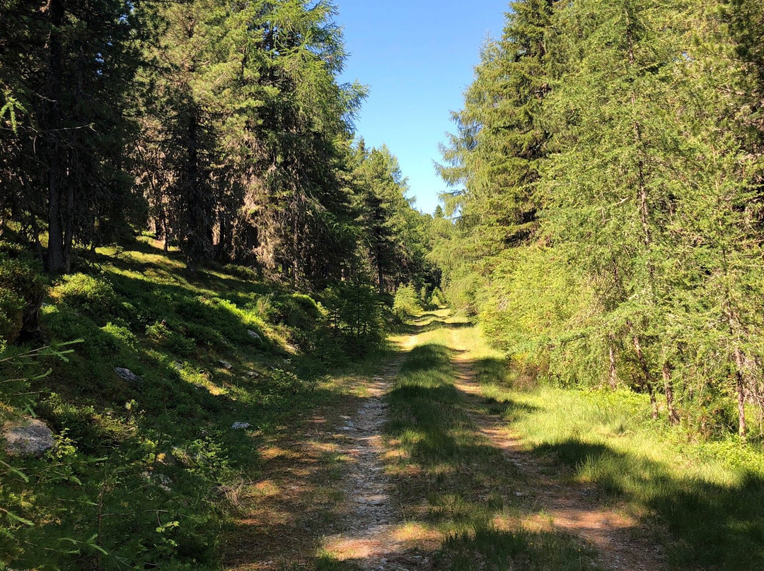 Riegleralm